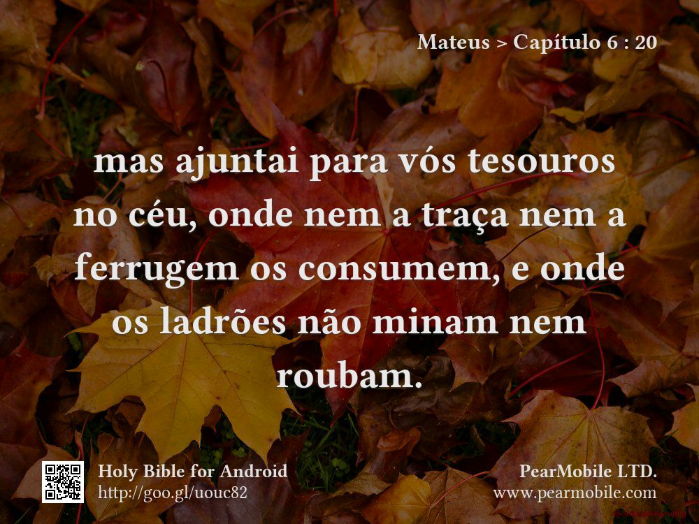 Mateus, Capítulo 6:20